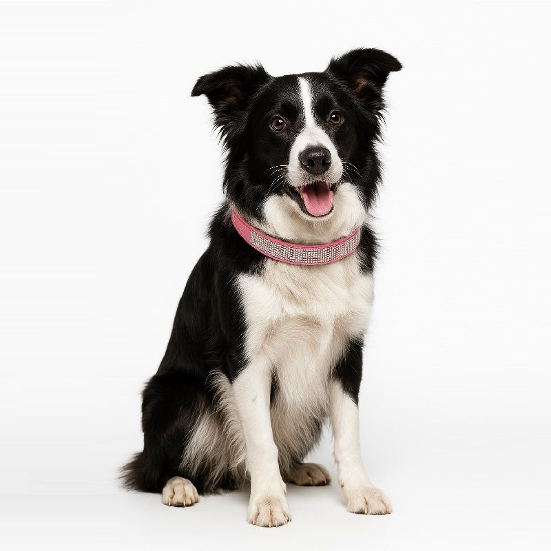 GENERICO - Collar con Brillantes para Perritas Medianas Glam M