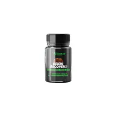 GENERICO - Reishi Adaptógeno Fit Corner 90 Cápsulas 500 Mg 45 Porciones
