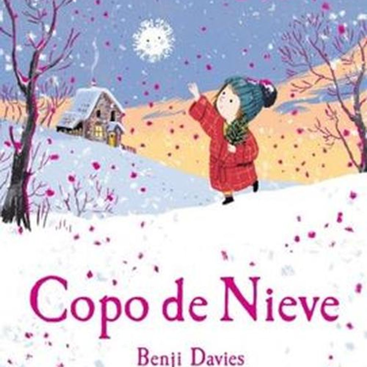 ZIG ZAG - Libro Copo De Nieve - Davies, Benji