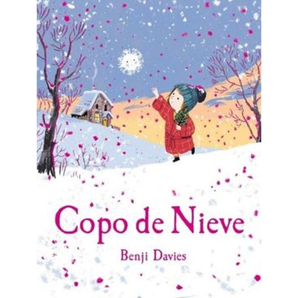 ZIG ZAG - Libro Copo De Nieve - Davies, Benji