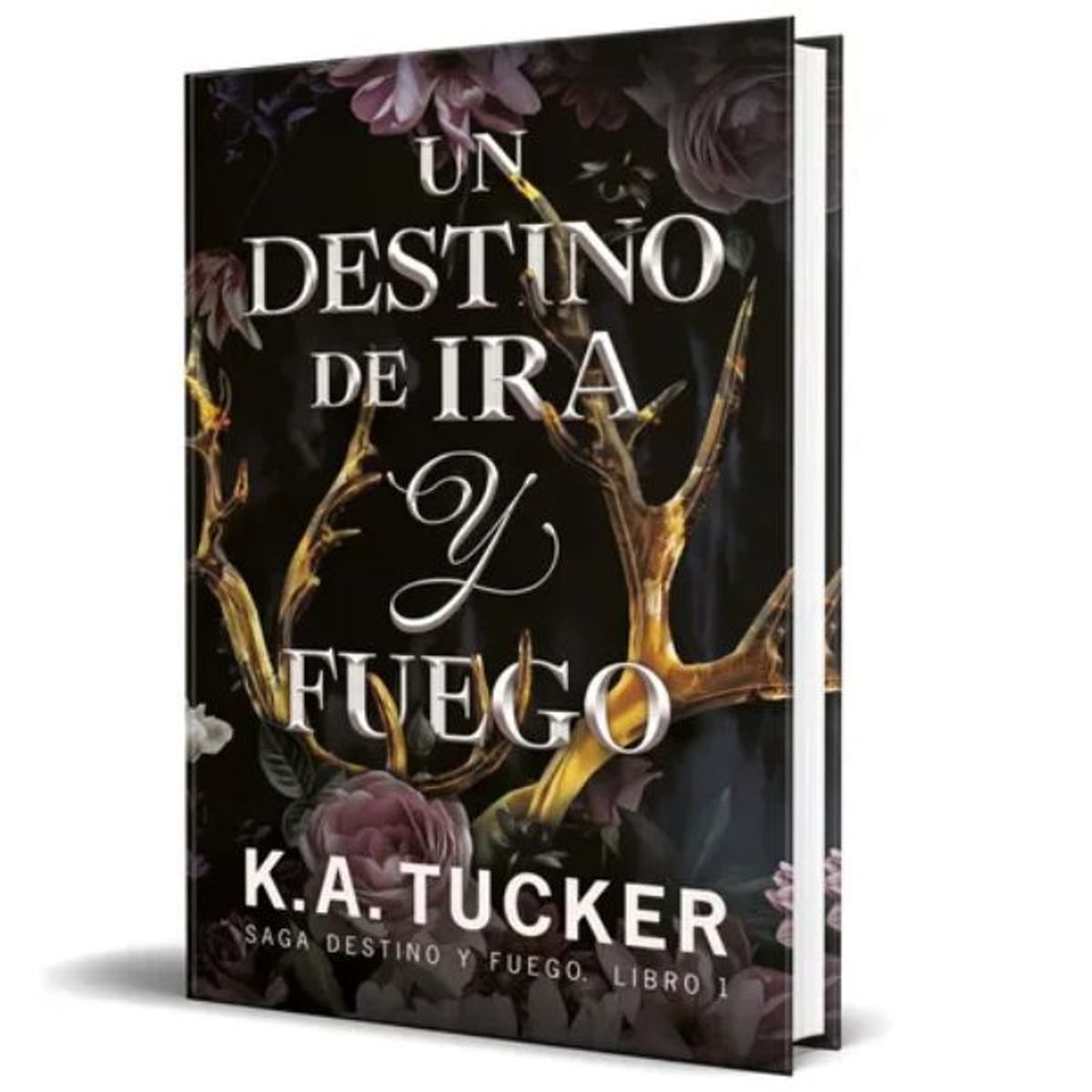 SM - Saga Destino Y Fuego Vol1 - Un Destino De Ira Y Fuego