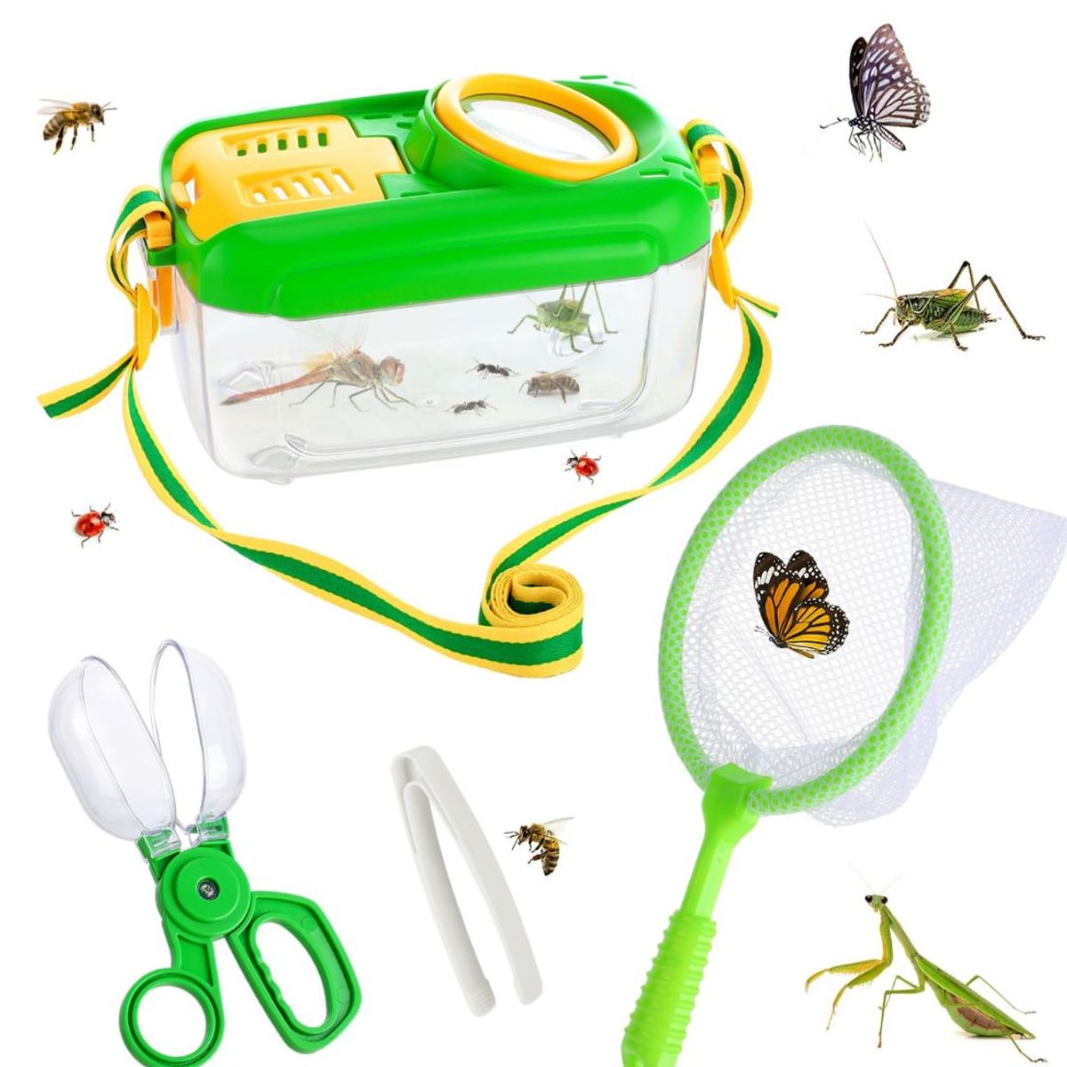 GENERICO - Set Observador Insectos Con Lupa - Contenedor