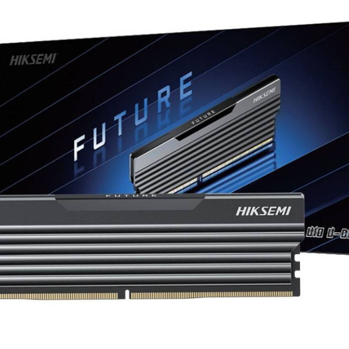 GENERICO - DIMM 16 GB - DDR4 3200 MHZ - Hiksemi  Future BLACK