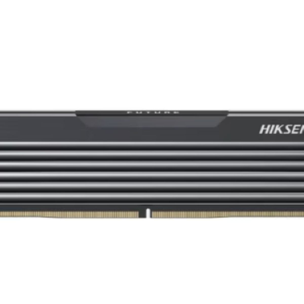 GENERICO - DIMM 16 GB - DDR4 3200 MHZ - Hiksemi  Future BLACK