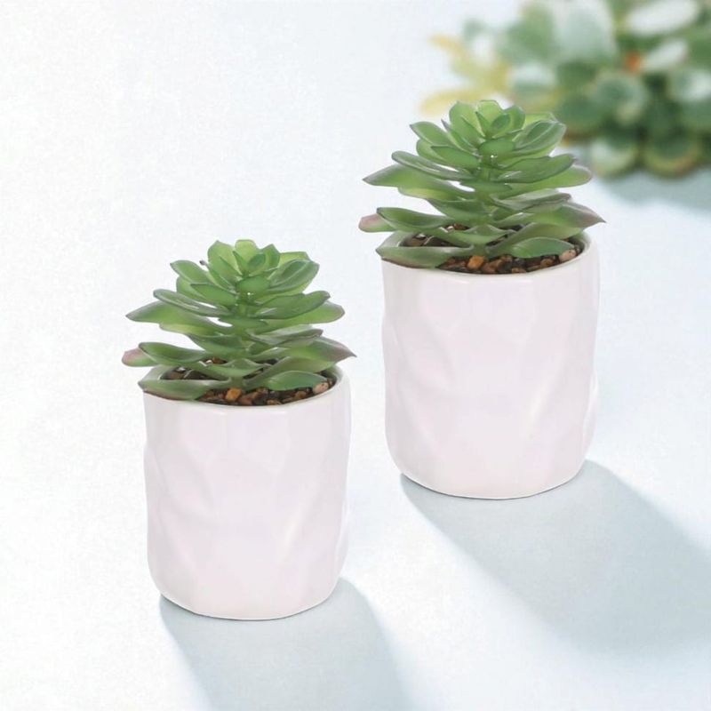HOMEY - Pack De 6 Macetas Con Planta Para Decoración, Marca Homey