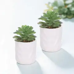 HOMEY - Pack De 6 Macetas Con Planta Para Decoración, Marca