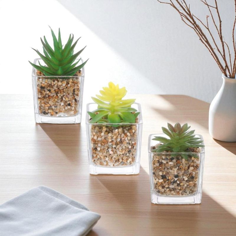 HOMEY - Pack De 3 Macetas Con Suculentas, Modelos Surtidos, Homey