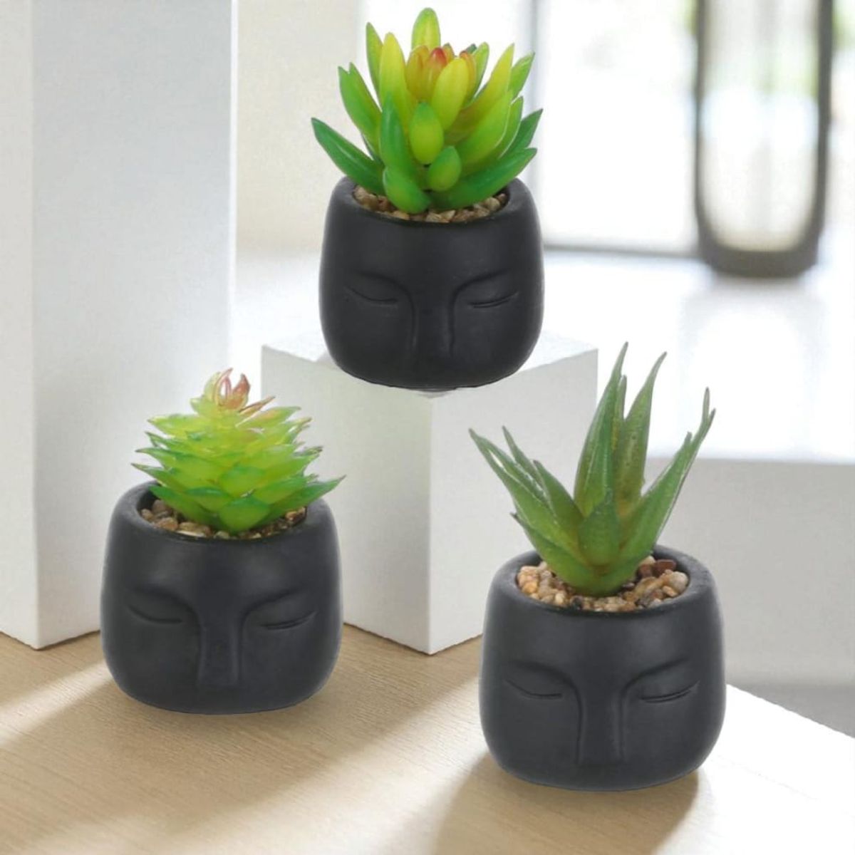 HOMEY - Pack De 3 Maceteros Negros Con Suculentas Artificiales,homey
