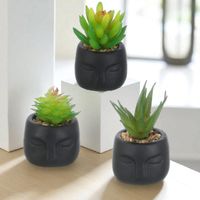 Pack De 3 Maceteros Negros Con Suculentas Artificiales,homey