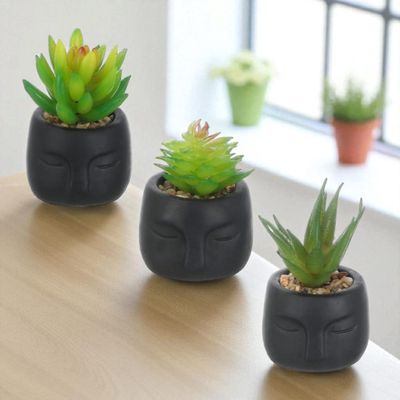 Imagen 2 del producto Pack De 3 Maceteros Negros Con Suculentas Artificiales,homey