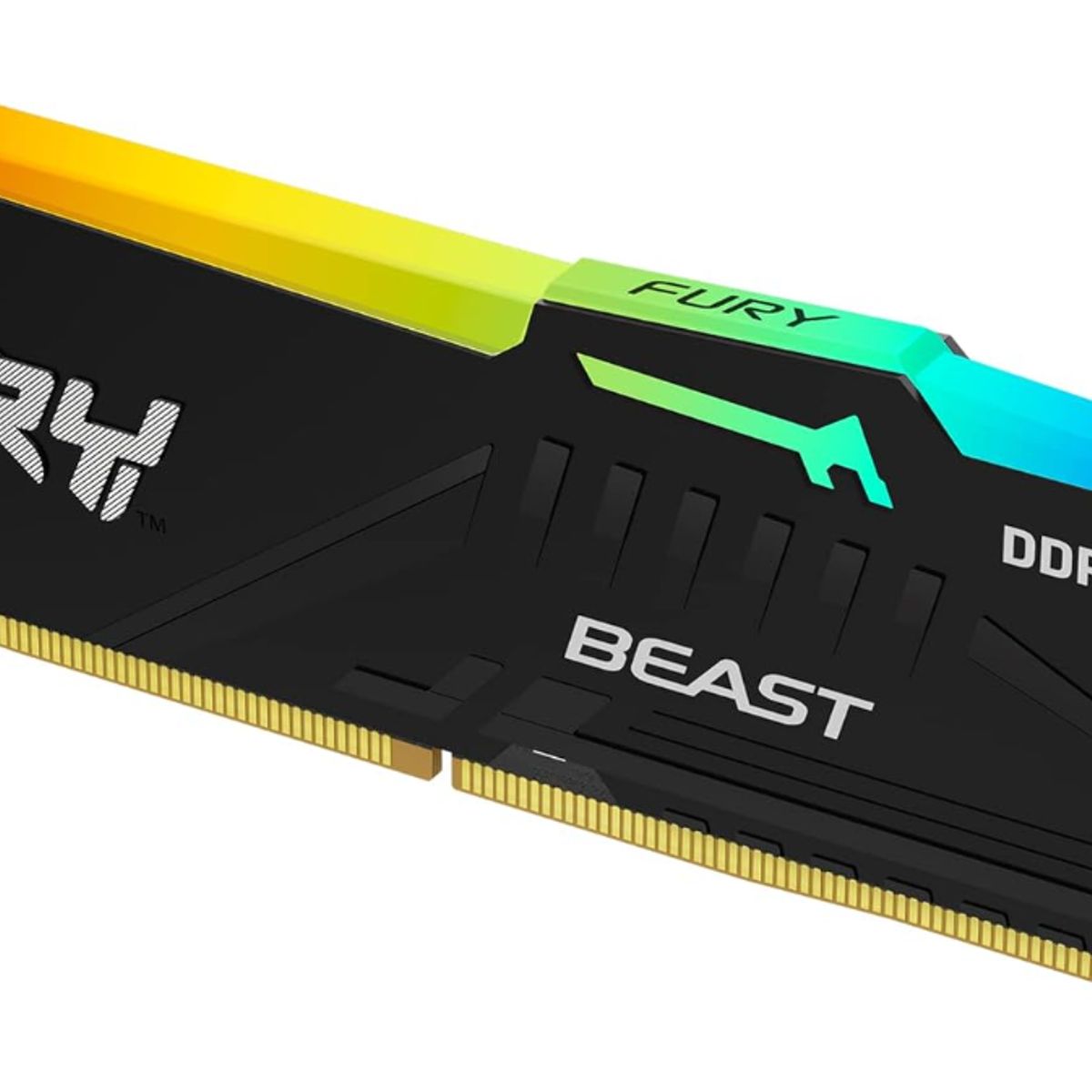 KINGSTON - DIMM 16 GB - DDR5 5600 MHZ - Kingston FURY Beast RGB Black - Intel XMP