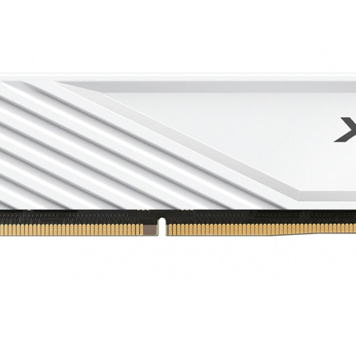 XPG - DIMM 16 GB - DDR5 5600 MHZ - XPG Lancer Blade White - XMP-EXPO