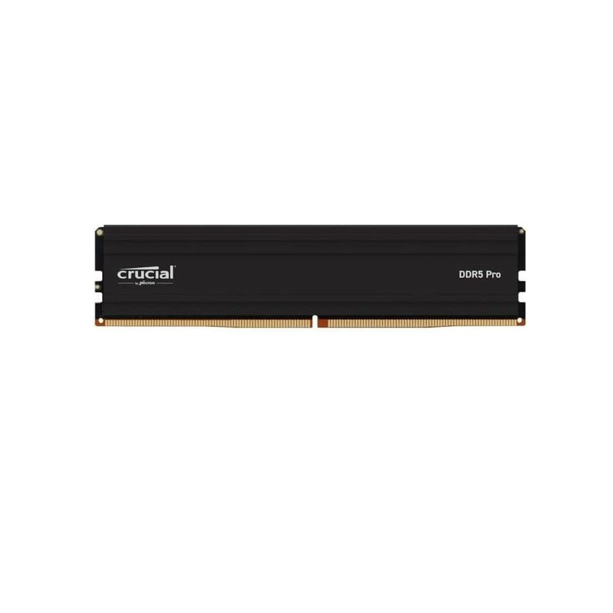 CRUCIAL - DIMM 32 GB - DDR5 5600 MHZ - Crucial Pro - Black - Intel XMP/AMD EXPO