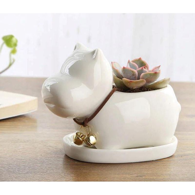 HOMEY - Pack De 2 Maceteros Para Suculentas, Diseño De Hipopotamo