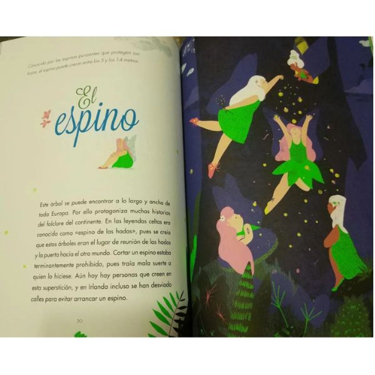 SM - El Libro De Los Árboles De Iris Volant - Editorial Sm