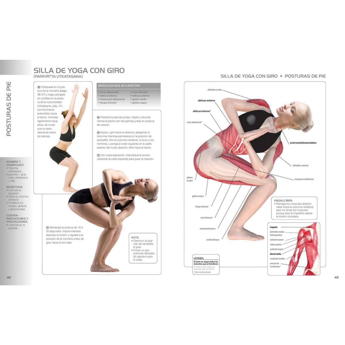 EDITORIAL CONTRAPUNTO - Yoga para principiantes