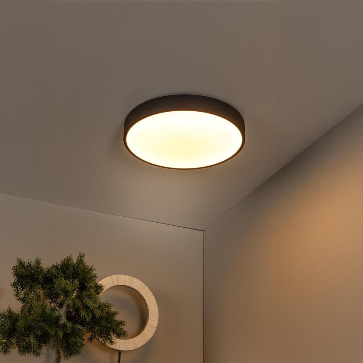 BOSCO - LAMPARA DE TECHO UNAR NEGRO Ø395cm 24W 2700K DIMEABLE