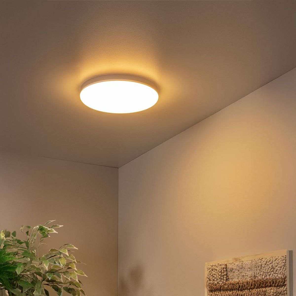 BOSCO - LAMPARA DE TECHO OLSON BLANCO Ø29cm LED 24W