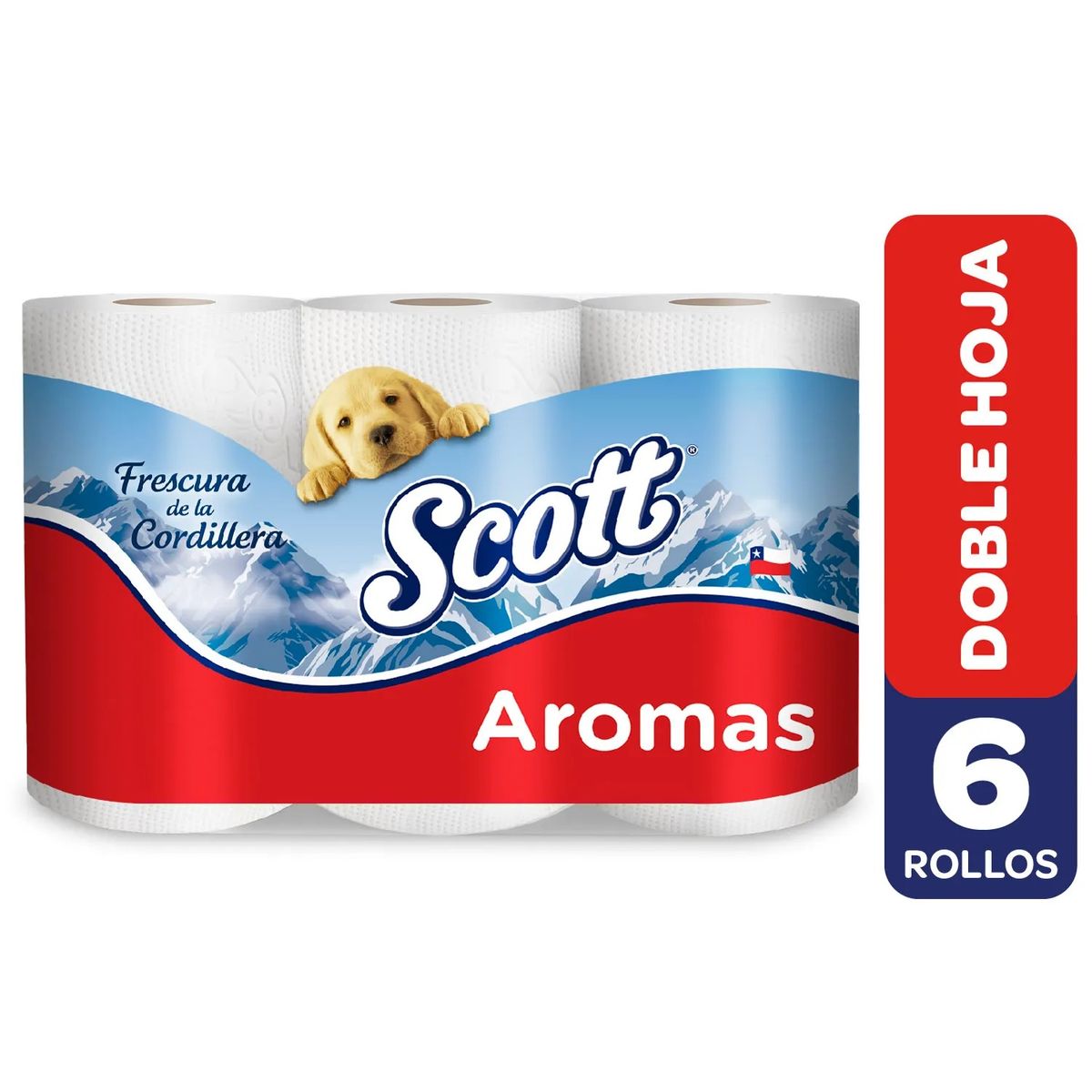 SCOTT - Scott Aromas 6 Rollos Doble Hoja 21,1 mts