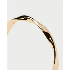 PDPAOLA - Anillo Spiral