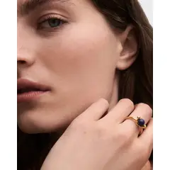 PDPAOLA - Anillo Sodalita Nexus