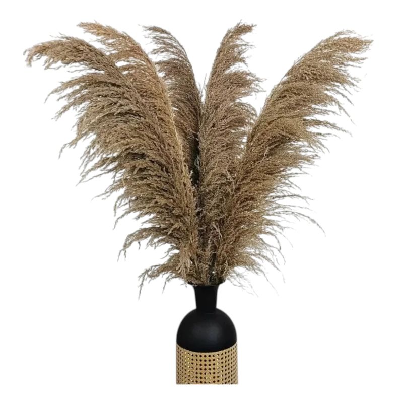 GENERICO - Rama De Pampas Grass Vara Grande Decoracion Vintage Cafe