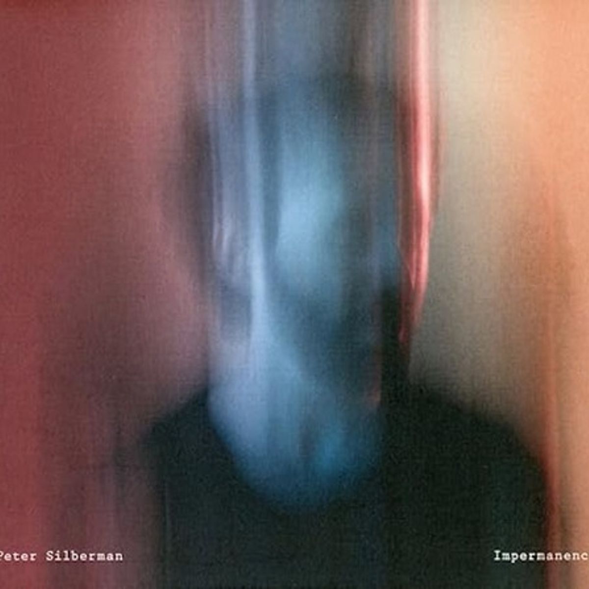 GENERICO - Vinilo Peter Silberman Impermanence