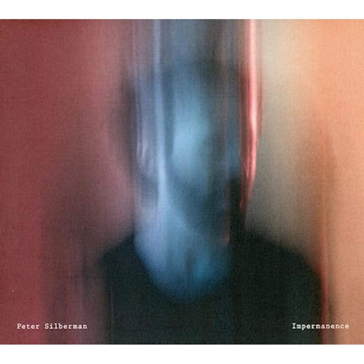 GENERICO - Vinilo Peter Silberman Impermanence