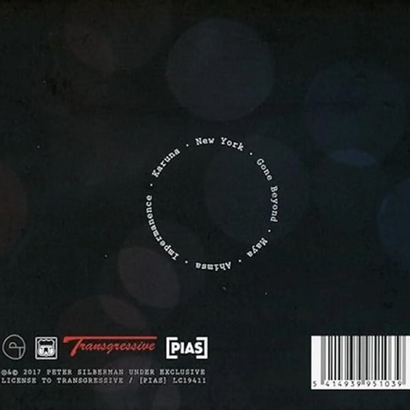 GENERICO - Vinilo Peter Silberman Impermanence