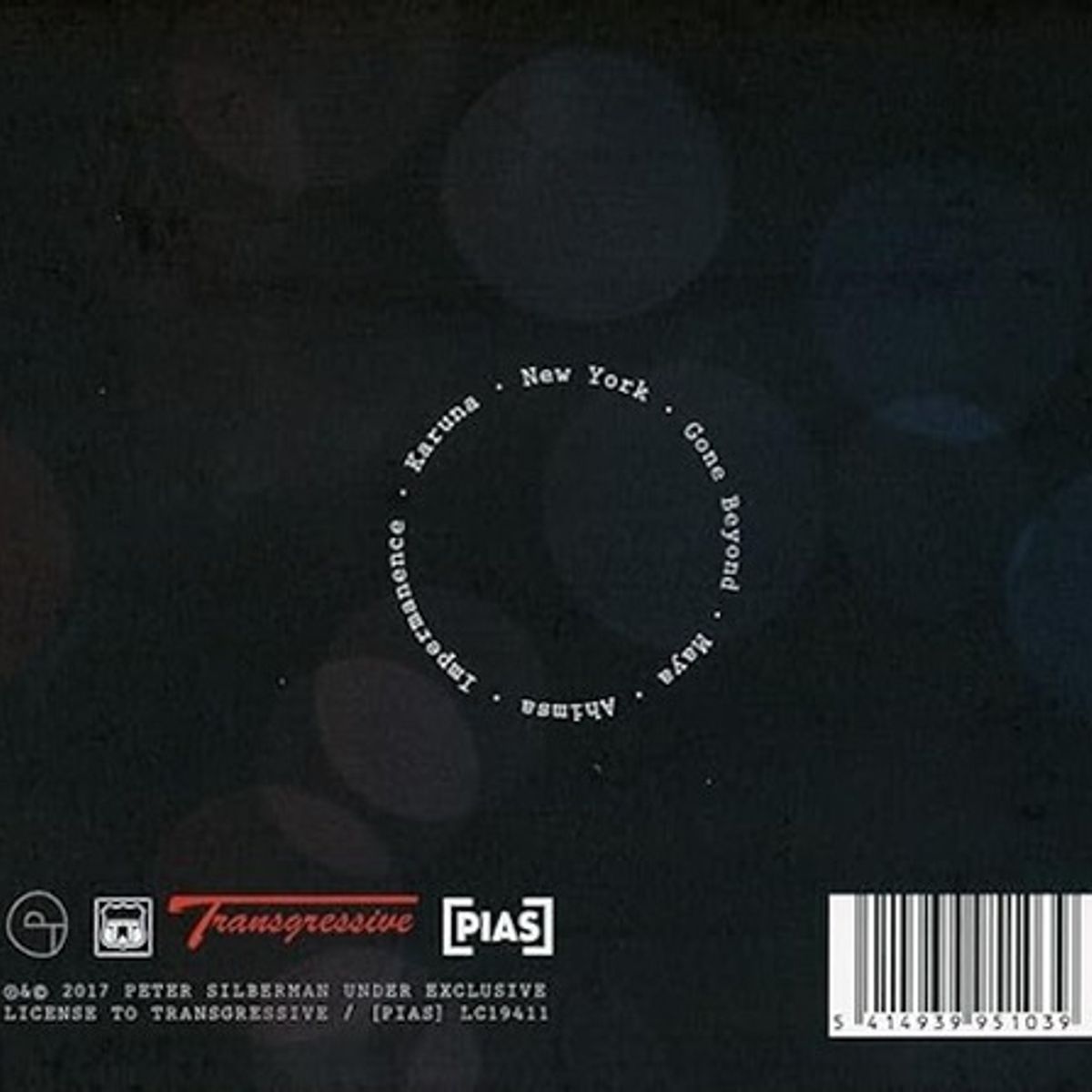 GENERICO - Vinilo Peter Silberman Impermanence