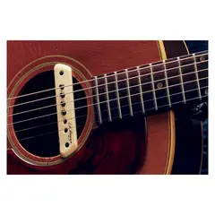 LR BAGGS - M1A Active Preamplificador