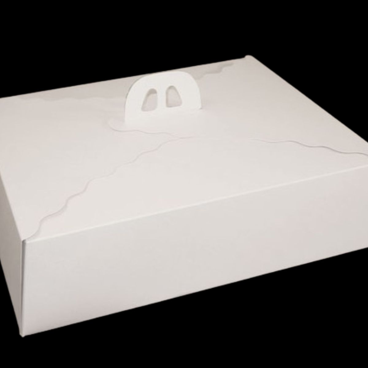 GENERICO - Pack 5 Caja Torta Rectangular 45x35x12 cm