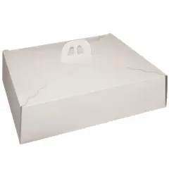 GENERICO - Pack 5 Caja Torta Rectangular 45x35x12 cm