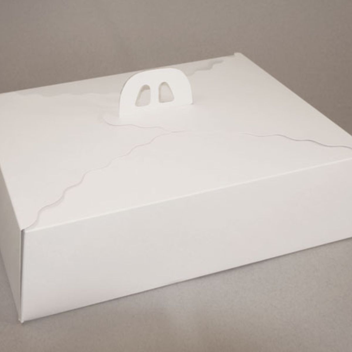 GENERICO - Pack 5 Caja Torta Rectangular 45x35x12 cm