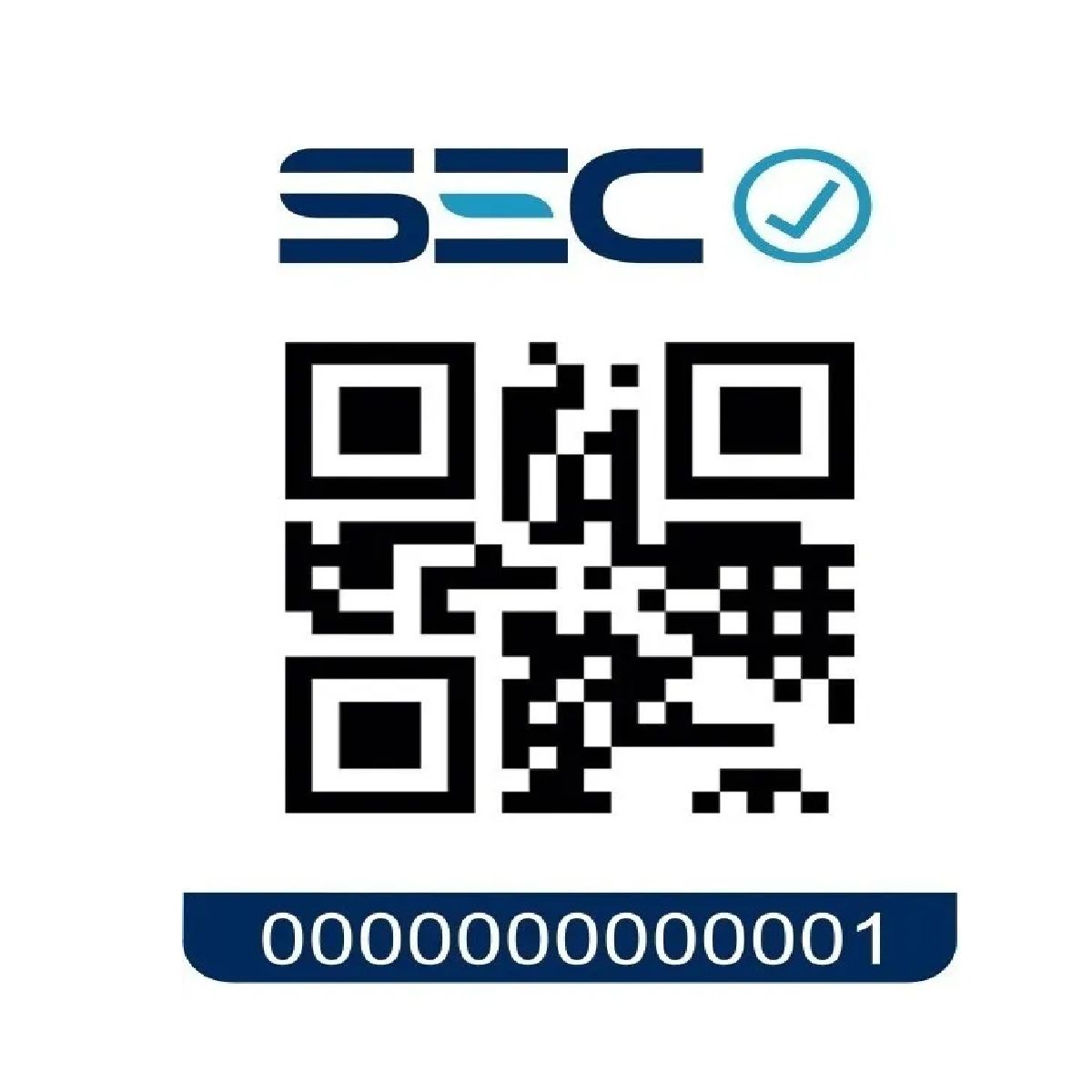 BAOFENG - Pack 2 Radio Transmisor Walkie Talkie Bf-888s Baofeng Recargable Ideal Camping Seguridad