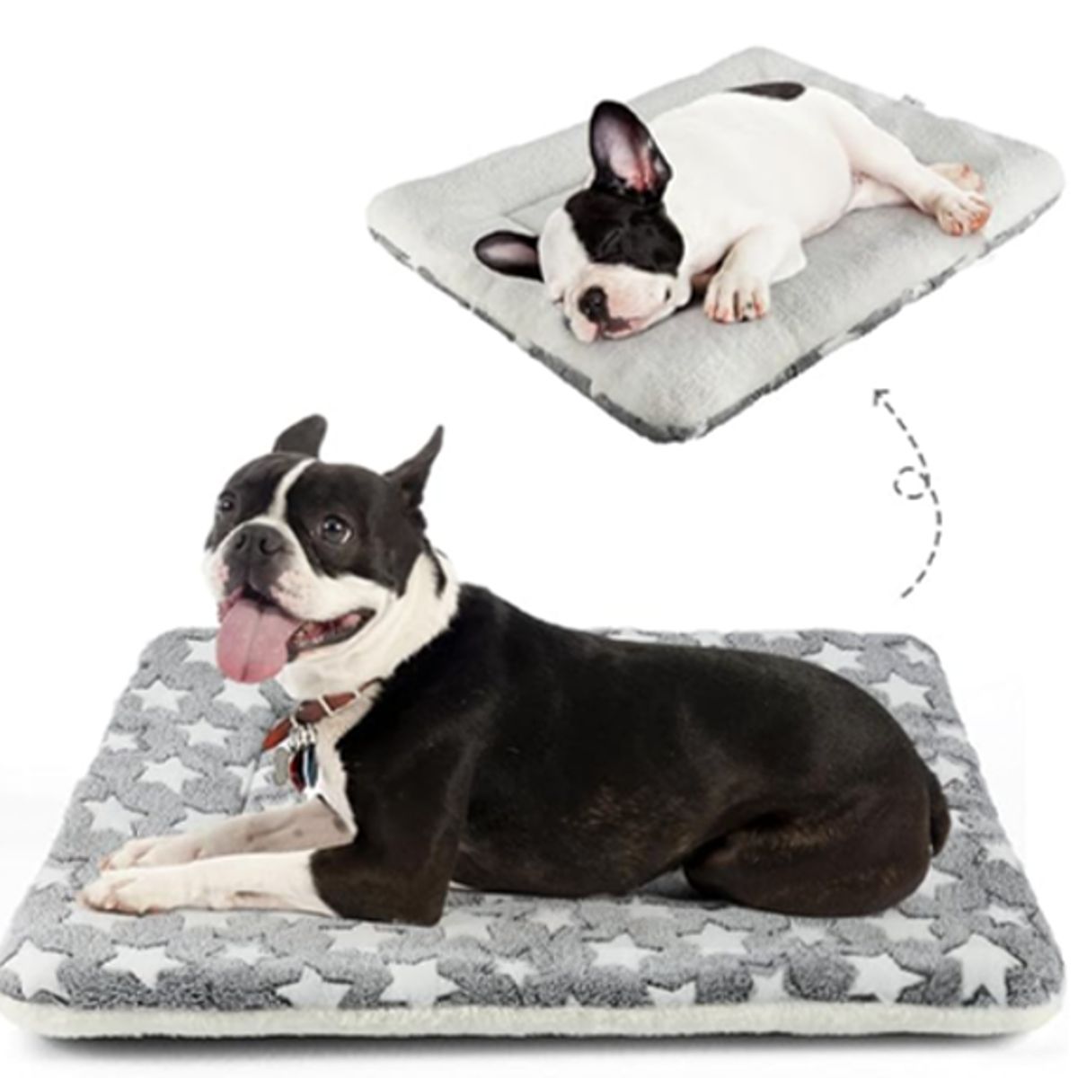 MASCO TODO - Alfombrilla Suave Mascota Perro Gato Manta Acolchada 48x34cm