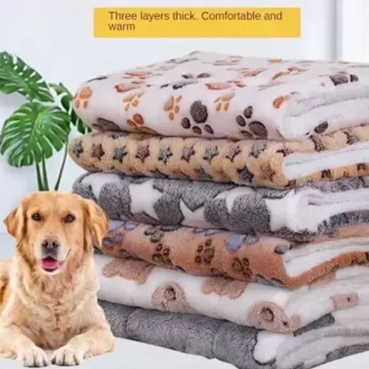 MASCO TODO - Alfombrilla Suave Mascota Perro Gato Manta Acolchada 100x70cm