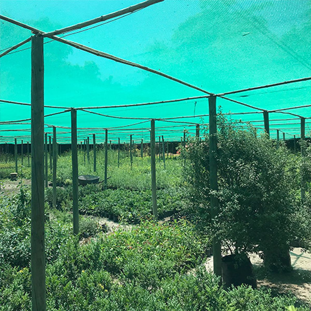 MARIENBERG - Malla Sombra Lisa 65% Verde de 4.20 x 50 m