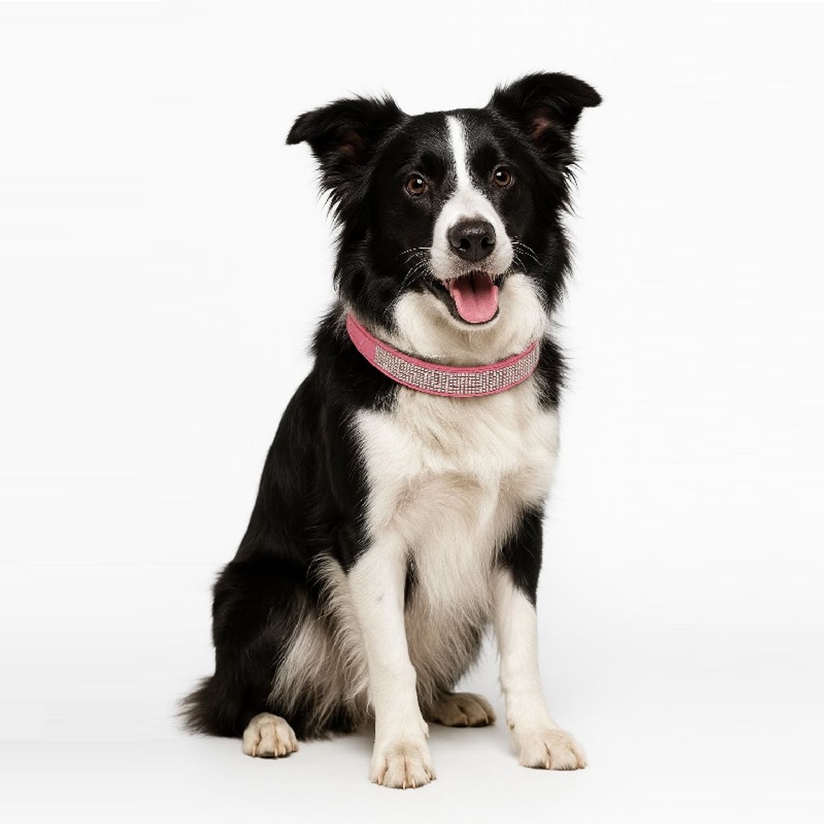 GENERICO - Collar con Brillantes para Perritas Grandes Glam XL