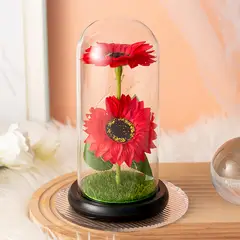 EDWINAYY - Girasol Eterna Girasol Preservada Led San Valentin Regalos