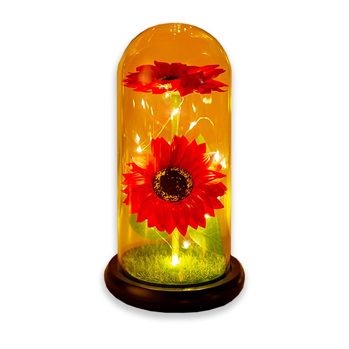 EDWINAYY - Girasol Eterna Girasol Preservada Led San Valentin Regalos