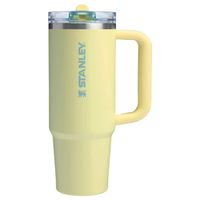 Quencher Protour Pomelo- 800 ml