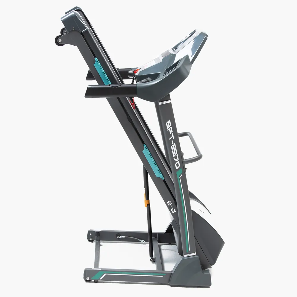 Bianchi BFT-2570 Gris, foto 3
