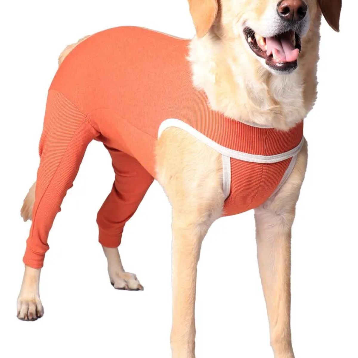 KIMBAVET - BodyCobre® Kimba Posterior - Talla 7 (13- 17 Kg)