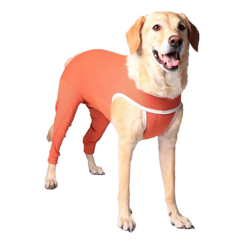 KIMBA - Body Cobre Kimba Posterior - Talla 14 (45 - 50 Kg)