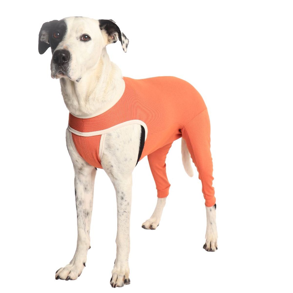 KIMBAVET - BodyCobre® Kimba Posterior  - Talla 15 (50 -55 Kg)