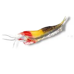 GENERICO - Señuelo Camarón De Silicona Blando Pesca Deportiva