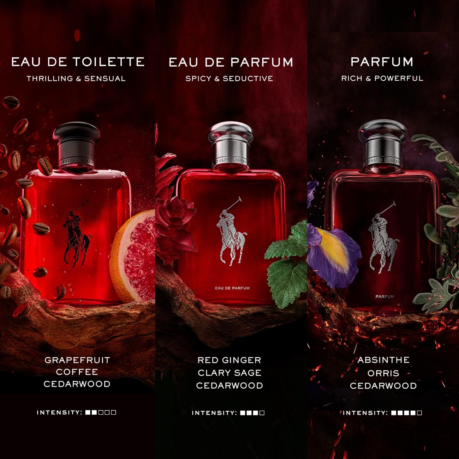RALPH LAUREN Perfume Hombre Polo Red Edp 75Ml Polo Ralph Lauren