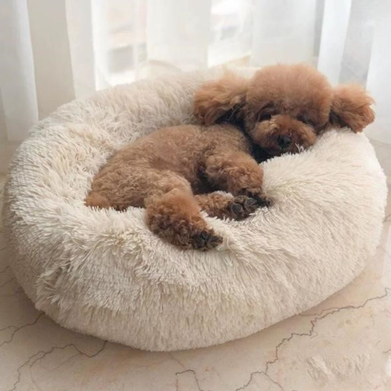 GENERICO - Cama para Mascotas Acolchada y Peludita 70cm Color Crema