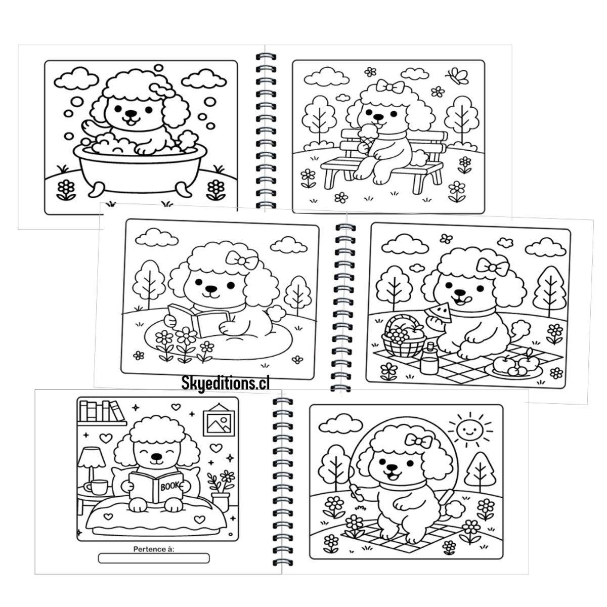 GENERICO - Libro Para Colorear Poodle